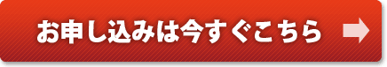 自己破産を自分でするための自己破産マニュアル